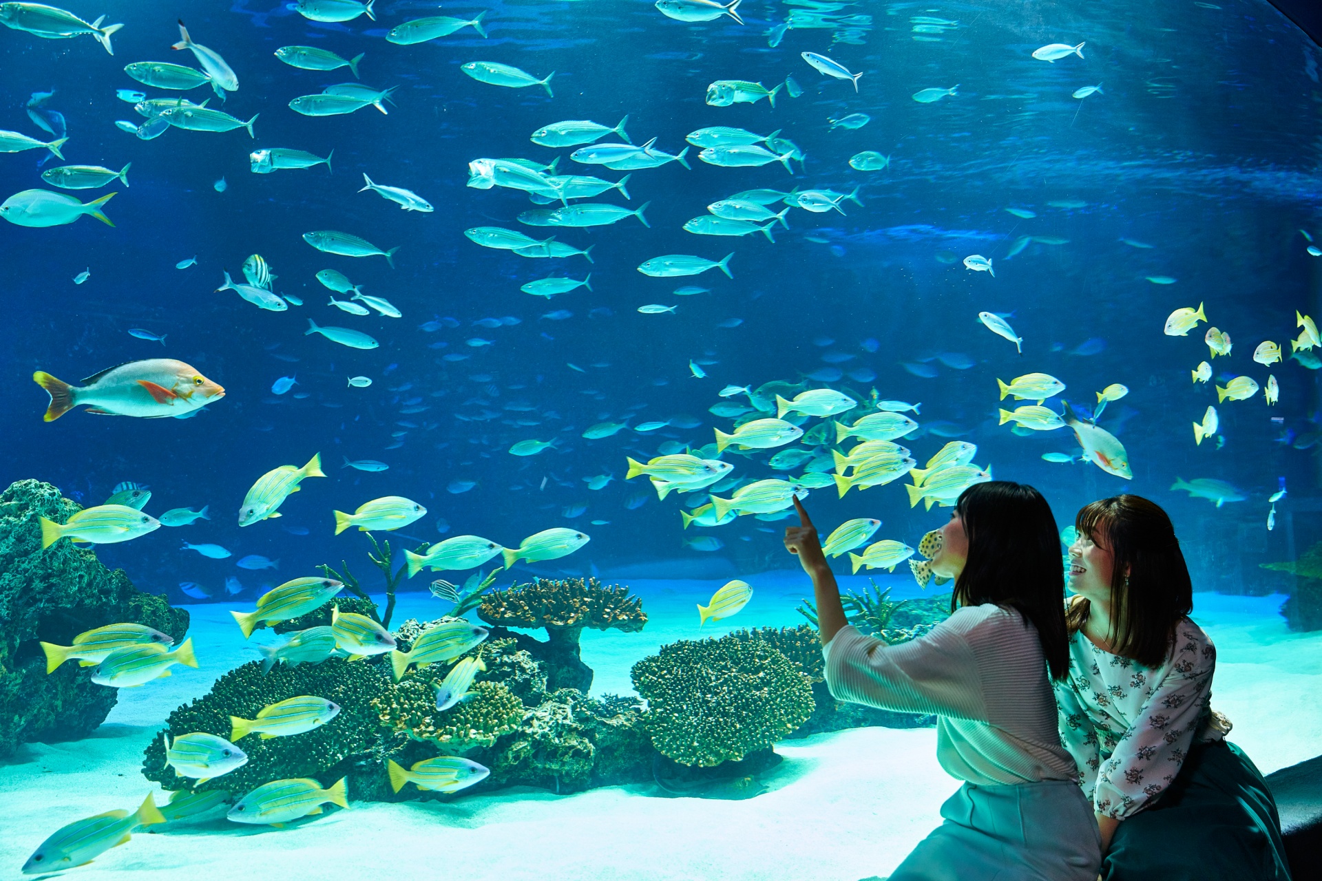 SUNSHINE陽光水族館+SKY CIRCUS陽光60瞭望台門票＆Tokyo Subway Ticket 24小時乘車券優惠套票【最高立省JPY 800 !】