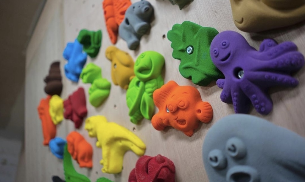 Chiba Ichinomiya Climbing Gym OLIOLI Bouldering Experience